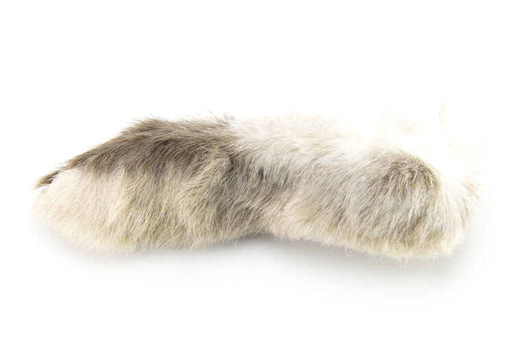 Rabbit's foot